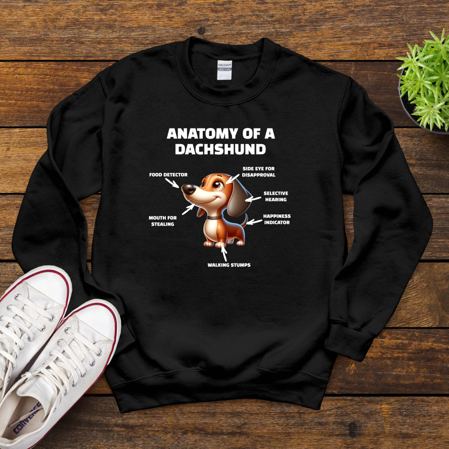 Anatomy Of A Dachshund