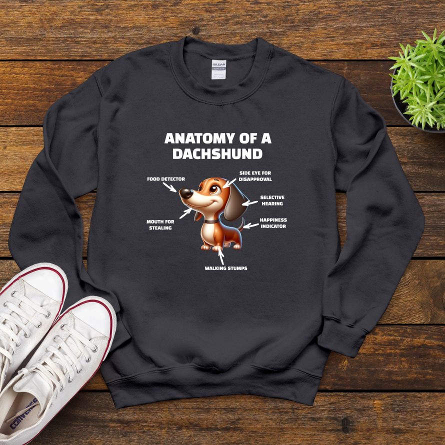 Anatomy Of A Dachshund