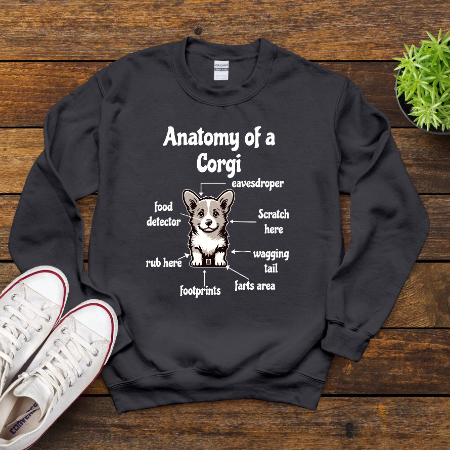 Anatomy Of A Corgi