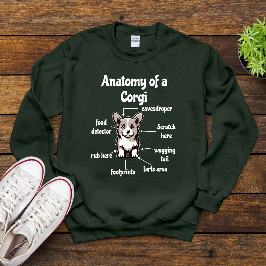 Anatomy Of A Corgi
