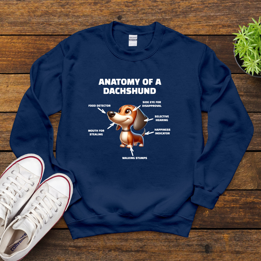 Anatomy Of A Dachshund