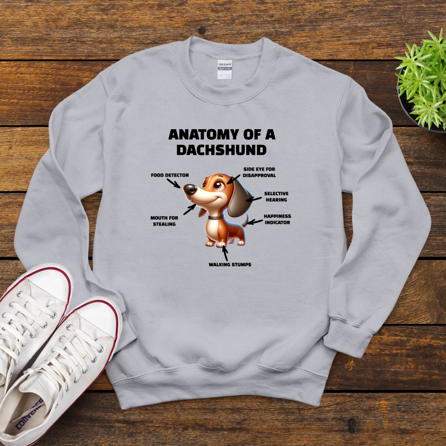 Anatomy Of A Dachshund