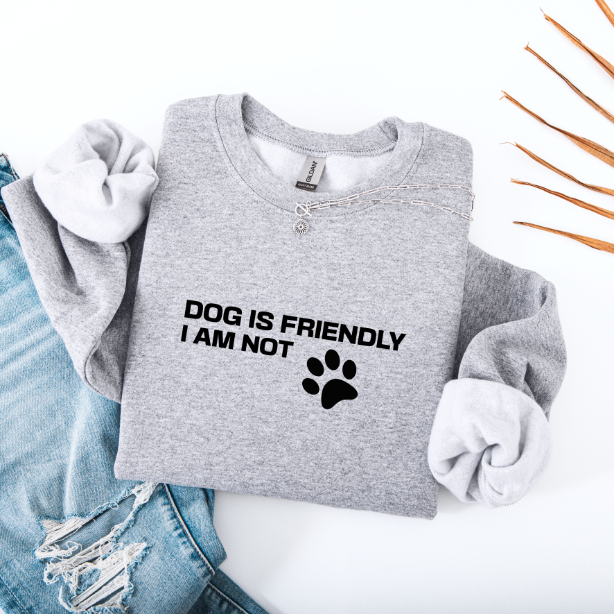 Dog Is Friendly I Am Not