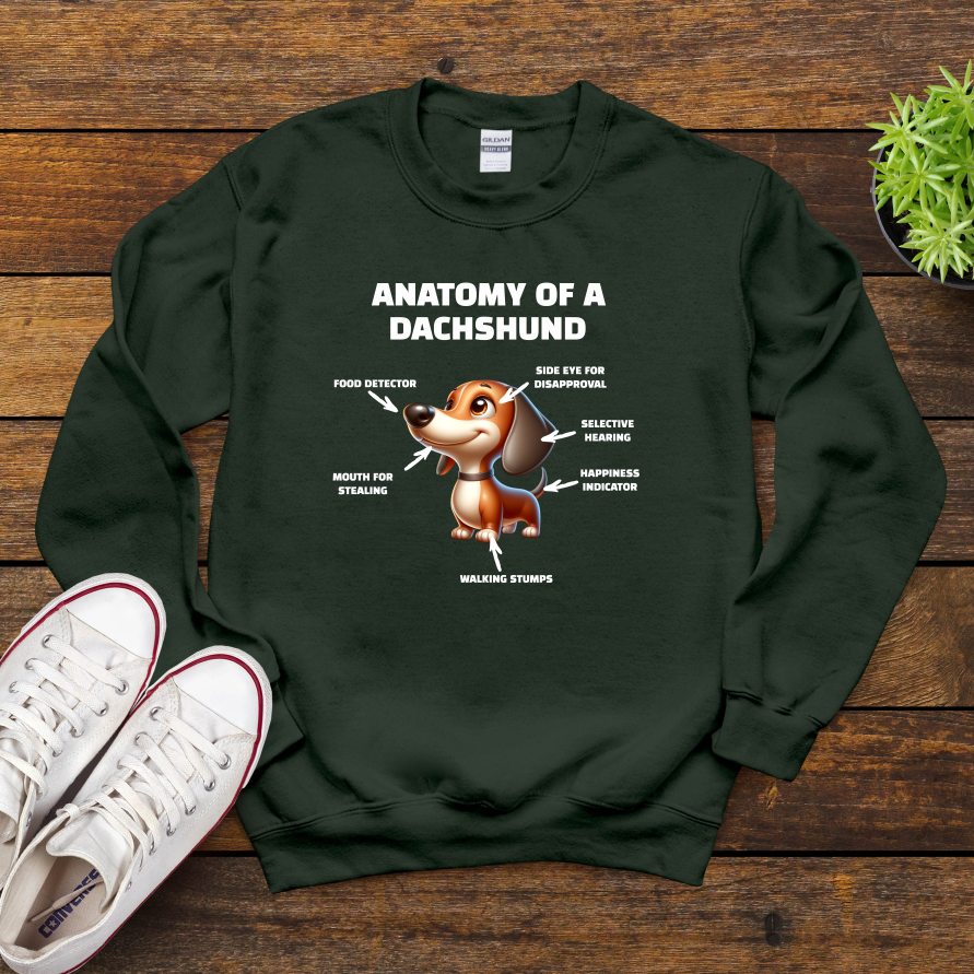 Anatomy Of A Dachshund
